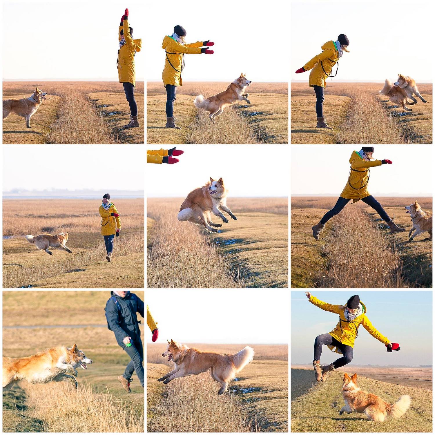 Hund Menschen springen